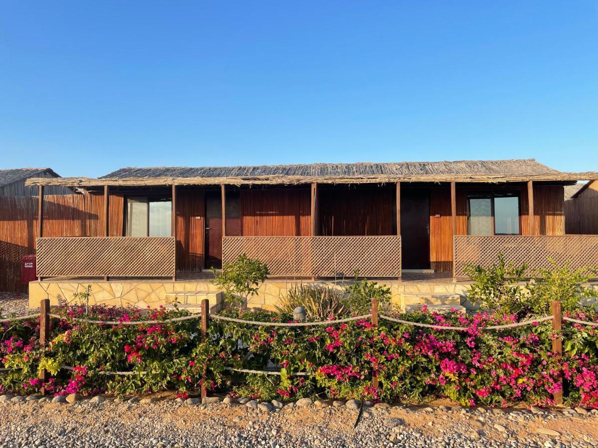 Turtle Beach Resort Ras al Hadd Екстериор снимка