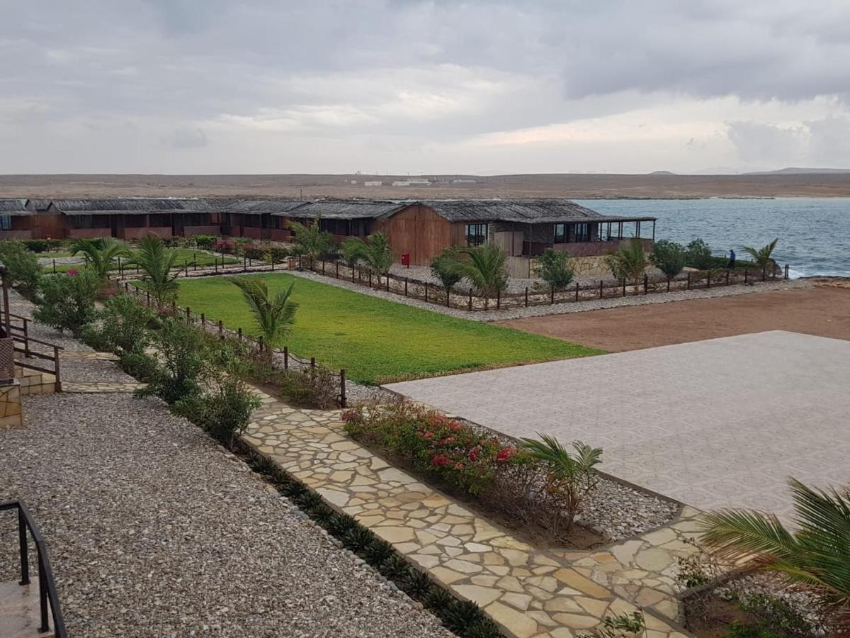 Turtle Beach Resort Ras al Hadd Екстериор снимка